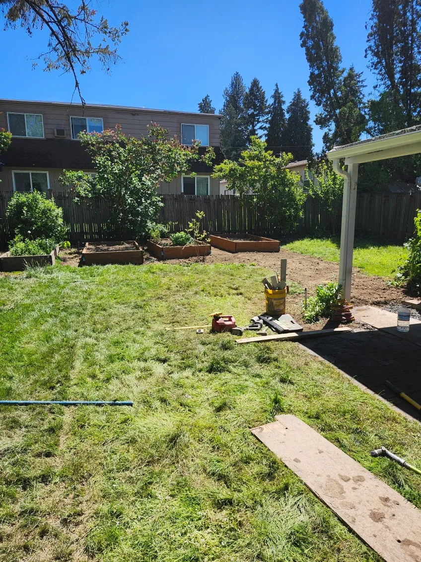 The backyard after the trench was filled and the lawn put back